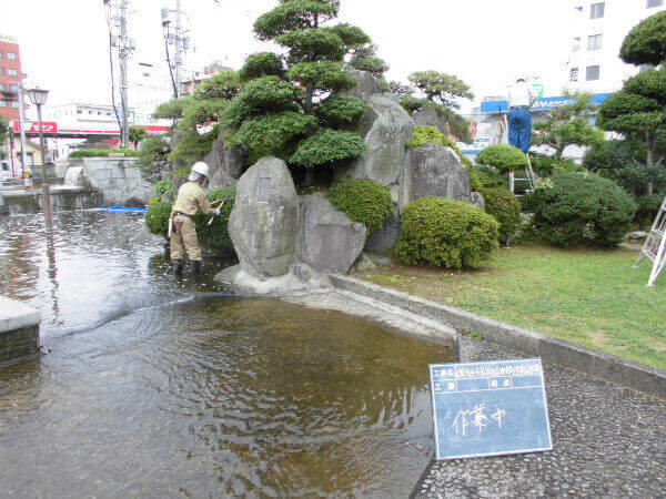 中津駅前　庭木剪定